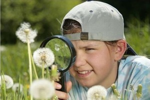 （示意图：互联网）