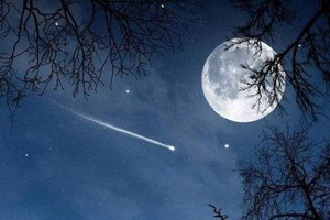 （示意图：互联网）