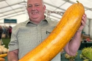 男子种逾 13 公斤最重青瓜