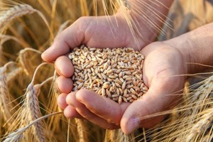 （示意图：互联网）