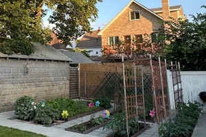 法拉盛只有几个月夏天适合种植，赖老先生自己动手料理整个园圃，种上各种花卉和蔬菜。