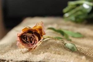 （示意图：互联网）