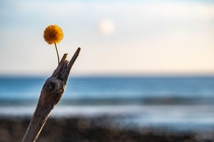 （示意图：互联网）