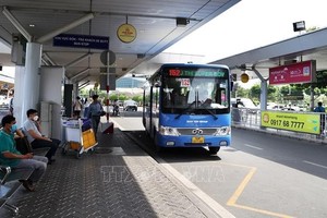 检查本市汽车运输管理工作