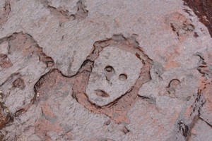 亚马逊河水位降 人脸雕刻岩石出土