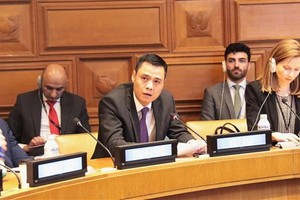 越南常驻联合国代表团团长邓黄江大使发表讲话。（图：越通社）