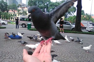 （示意图：互联网）