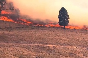 澳洲今年林火季提前到来