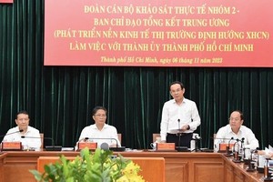 本市社会主义定向市场经济发展成就