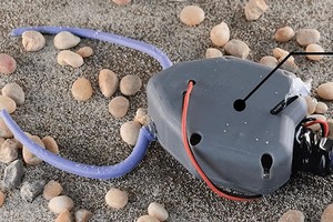 远古生物以软机器人形式“复活”