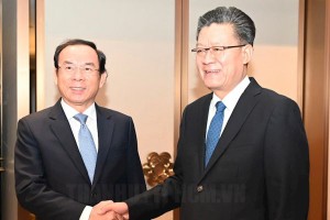 胡志明市与中国广州市加强各领域合作