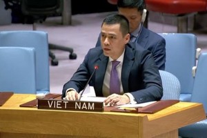 越南常驻联合国代表团团长邓黄江大使。（图：越通社）