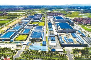 胡志明市对南部东区的发展具有重要贡献。