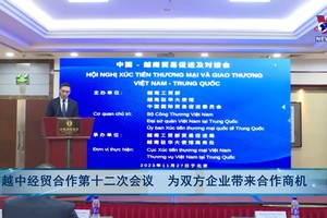 （图：VNews 视频截图）