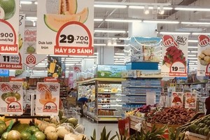 （示意图：Vietnam+）