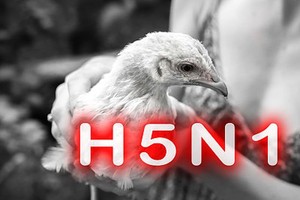 （示意图：互联网）