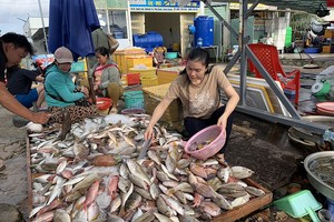 2万5000元烹饪鱼饭秘诀