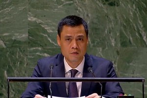 越南常驻联合国代表团团长邓黄江大使。（图：越通社）