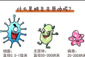 关注５个肺炎支原体感染知识误区
