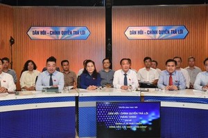 选民关心霸占绿树公园经营情况