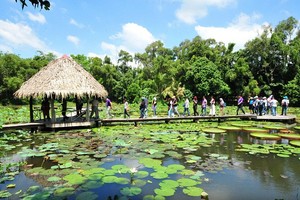 九龙江平原有许多具吸引力的景点以开发旅游业。