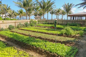 度假村朝可持续方向发展