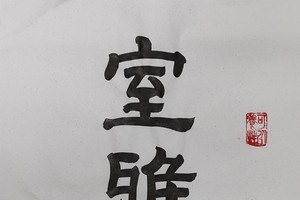 蔡忠书法作品欣赏