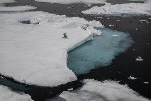 北极各地区的强降水不断刷新纪录，2022年至2023年泛北极地区的降水量为有记录以来第六高。（图：互联网）