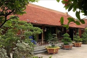 宁平省遗产区的传统民房。