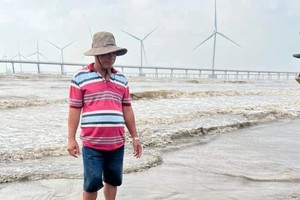 鲸鱼漂流至茶荣海岸