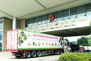 中国市场为越南农产品敞开大门