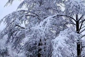 暴雪极端天气。（图：互联网）