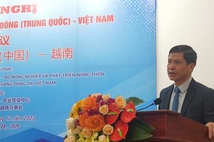 农业贸易促进中心主任阮明进在会议上发言。（图：HNV）