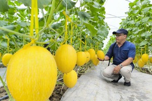 后江省发展特征旅游产品