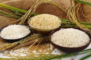 （示意图：互联网）