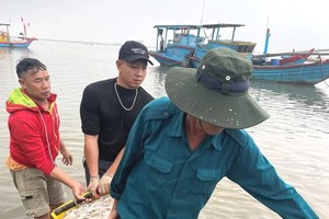 渔民将捕捞到的凤尾鱼抬上岸。（图：河靖报）