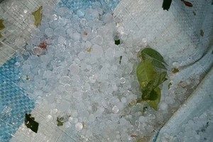 莱州省出现冰雹