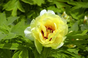 （示意图：互联网）