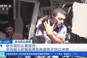 （图：CCTV视频截图）