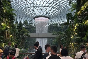 樟宜机场的室内瀑布。（图：互联网）