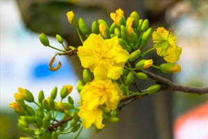 （示意图：互联网）