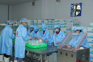 新鲜椰子出口生产线。（图：玲丹）