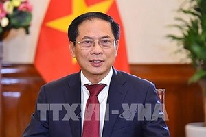 越南外交部长裴青山。（图: 越通社）