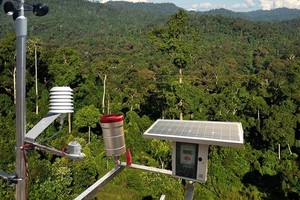 应用遥感技术对森林资源的监测实施方便且精度高，无需浪费大量时间和精力进行实地调查，通过照片就可以确定森林资源的变化。（图：互联网）