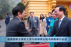 越南国家主席武文赏与菲律宾总统马科斯举行会谈