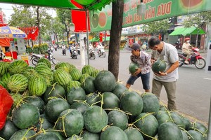 消费者在选购西瓜。