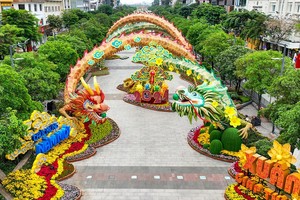 阮惠春花街全景。