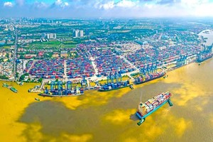 进出口活动在本市经济结构中占有重要地位。 图为桔莱港一隅。