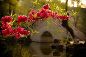 （示意图：互联网）