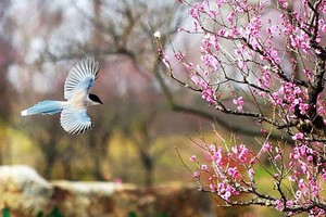 （示意图：互联网）